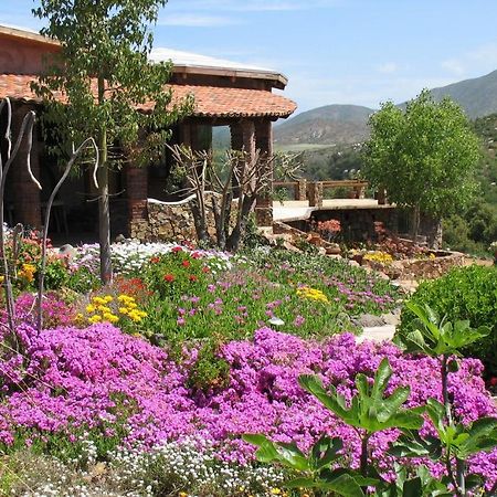 Quinta Maria En La Ruta Del Vino Bed & Breakfast Valle de Guadalupe Exterior photo