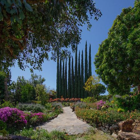 Quinta Maria En La Ruta Del Vino Bed & Breakfast Valle de Guadalupe Exterior photo