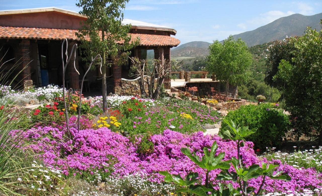 Quinta Maria En La Ruta Del Vino Bed & Breakfast Valle de Guadalupe Exterior photo