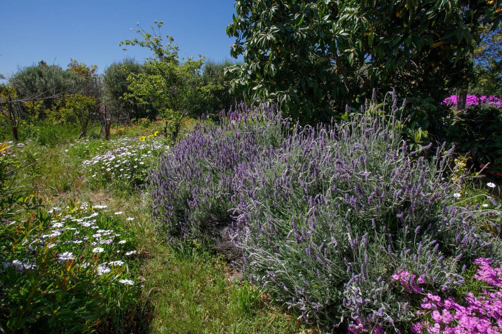 Quinta Maria En La Ruta Del Vino Bed & Breakfast Valle de Guadalupe Exterior photo
